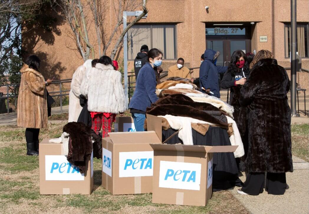 ABRIGOS PETA DONADOS