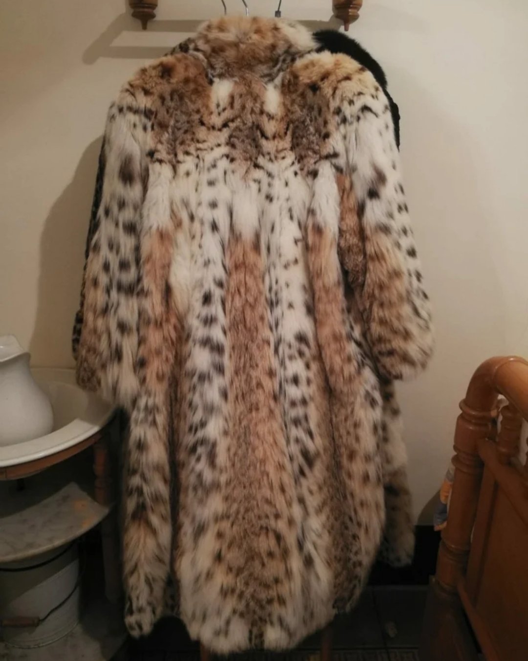 IMG 20260418 183431 1.JPG